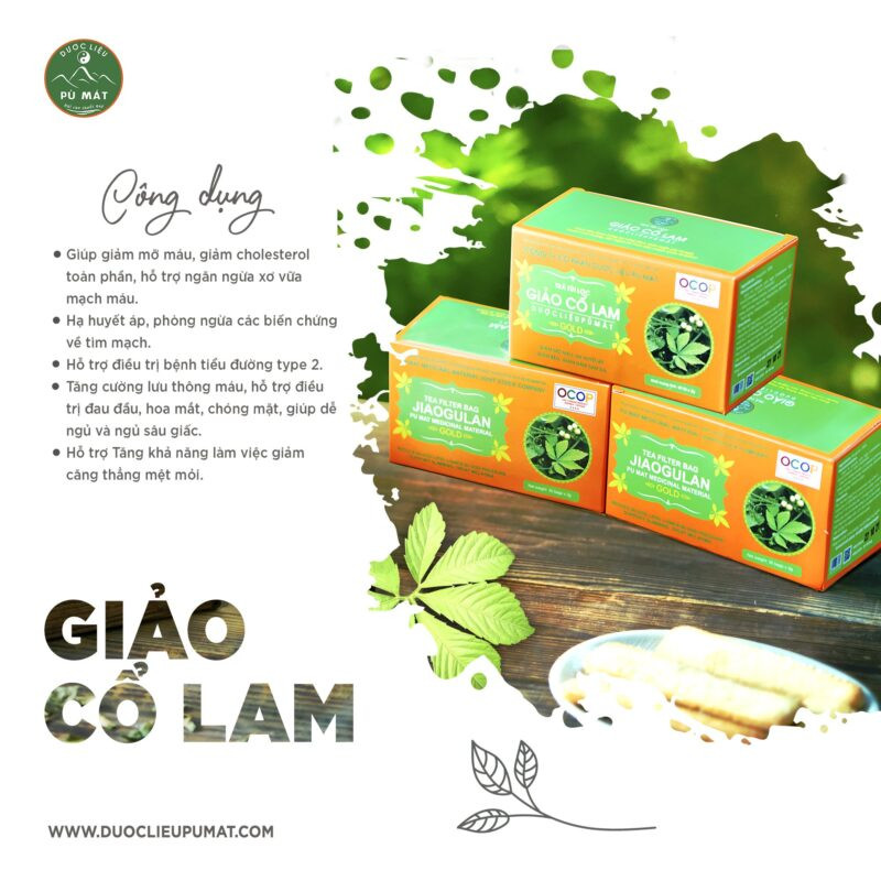 Trà túi lọc Giảo cổ Lam