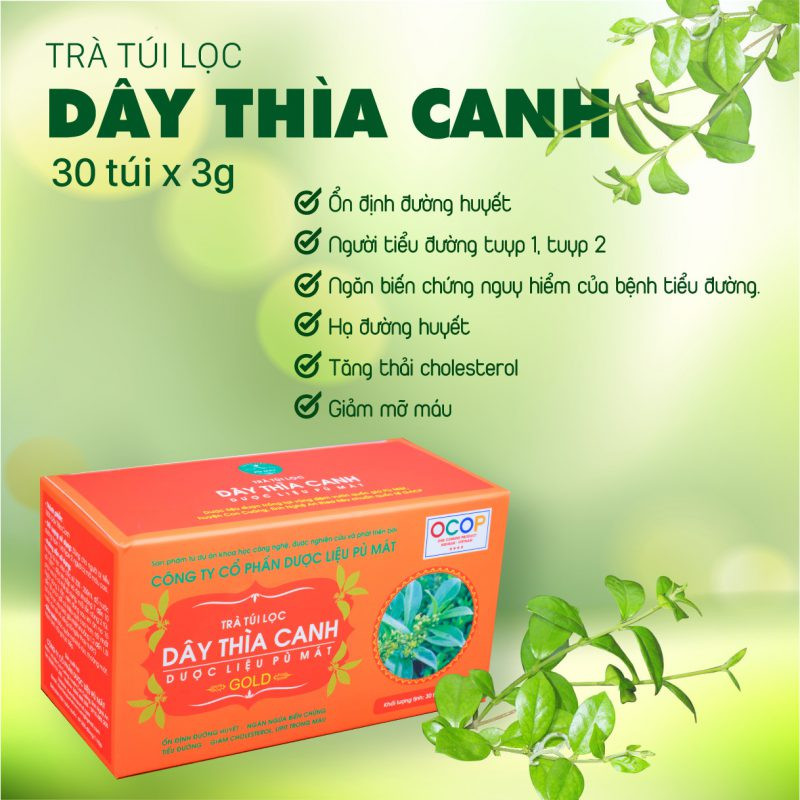 Trà túi lọc Dây thìa canh