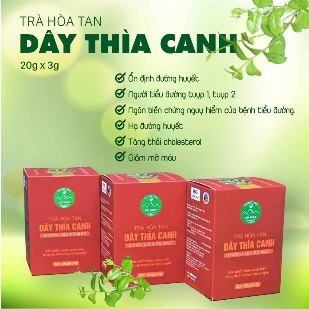 Trà hòa tan Dây thìa canh